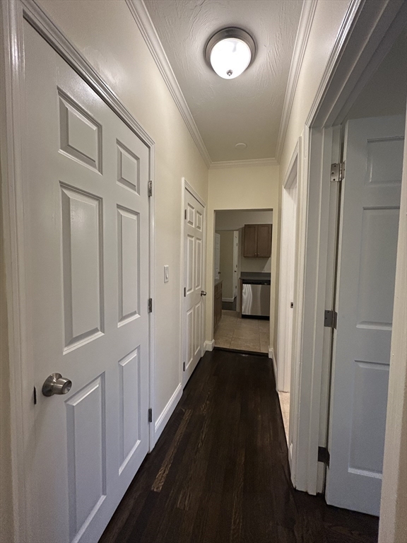 435 Walnut Avenue, Unit 6 Boston, MA 02119 - Photo 11 of 12