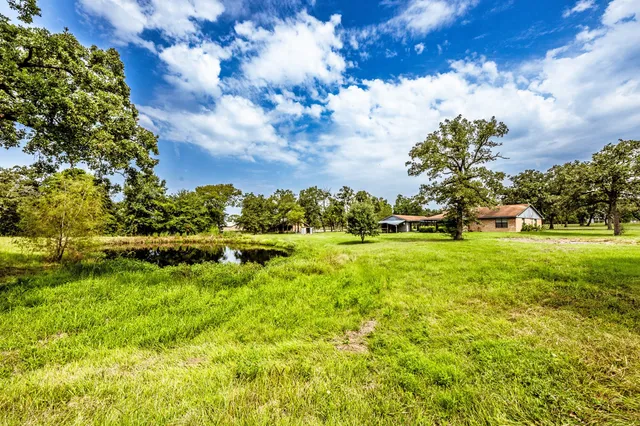 a view of yard with green space