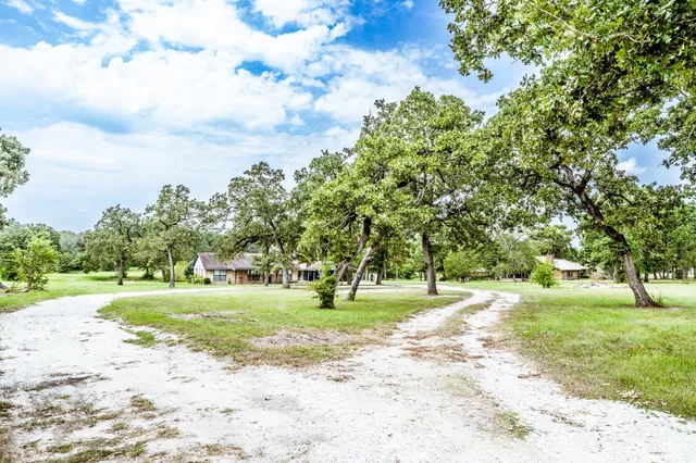 a view of a park with lots of trees