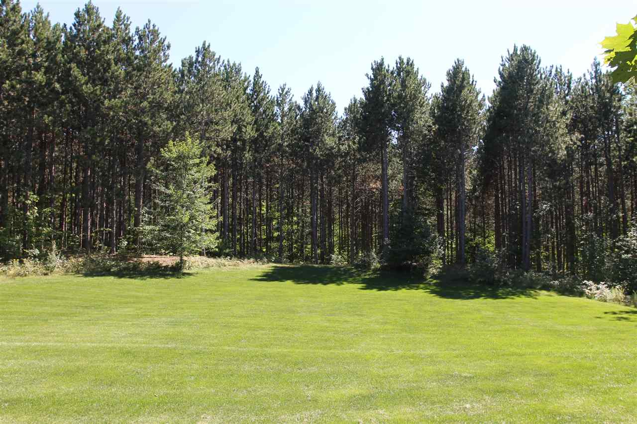 5675 East Hoxie Road Cedar, MI 49621 - Photo 5 of 54 1822864-4.JPG