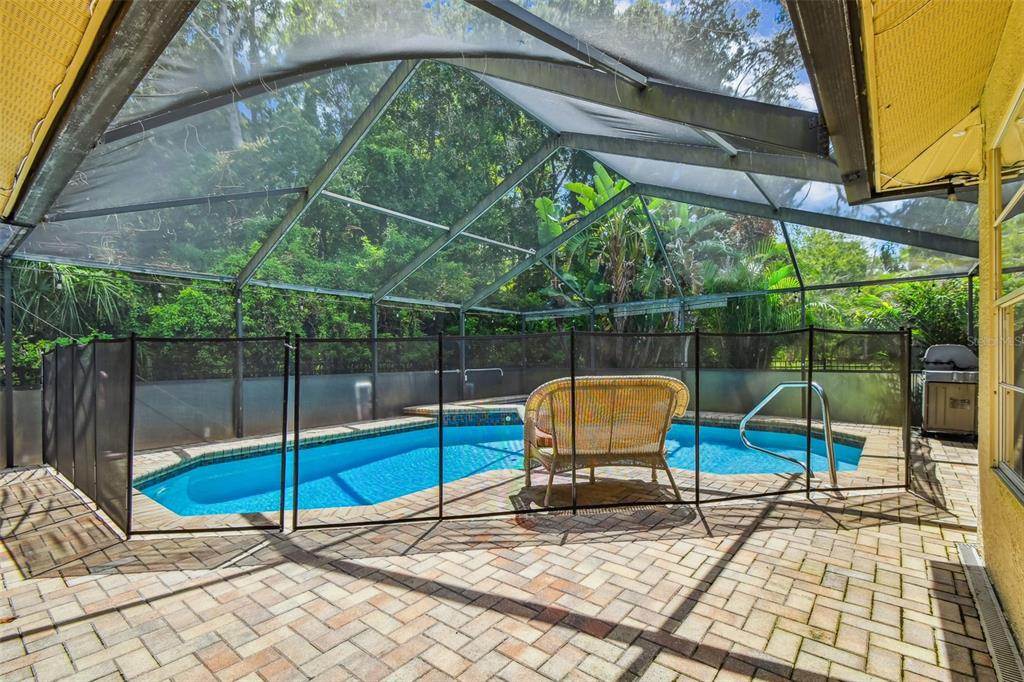 6006 Redhawk Drive New Port Richey, FL 34655 - Photo 34 of 90