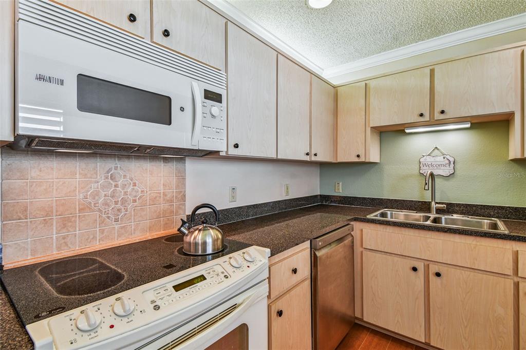 6006 Redhawk Drive New Port Richey, FL 34655 - Photo 50 of 90