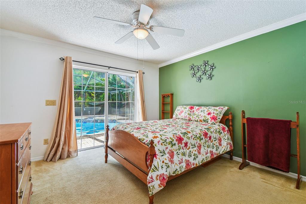 6006 Redhawk Drive New Port Richey, FL 34655 - Photo 67 of 90 a bed sitting in a bedroom next to a window