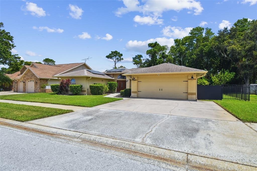 6006 Redhawk Drive New Port Richey, FL 34655 - Photo 7 of 90 a front view of house with yard and green space