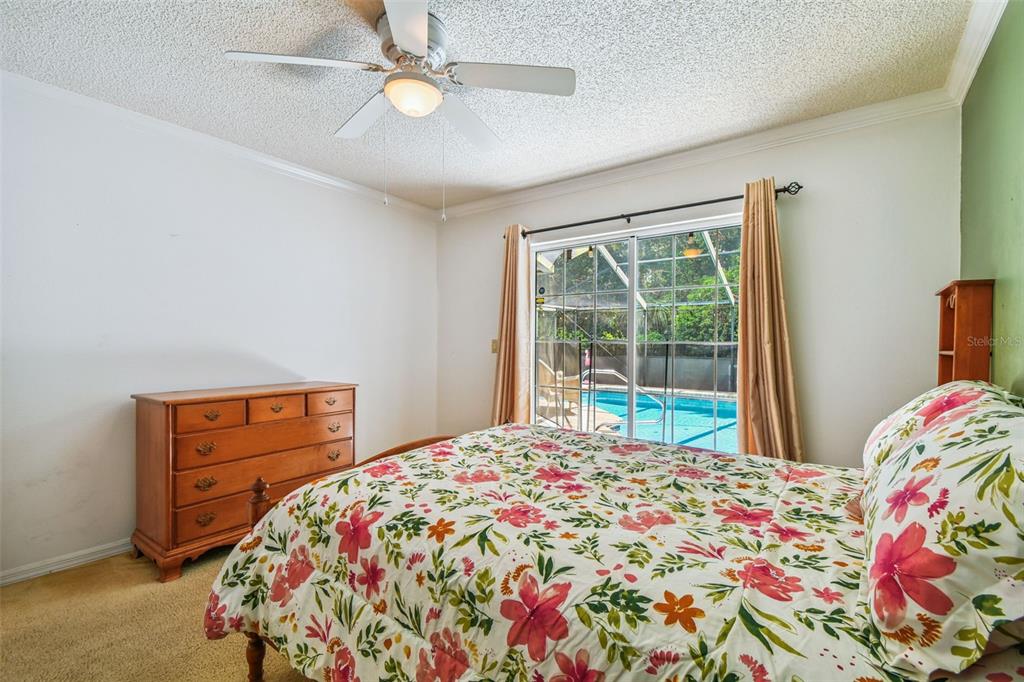 6006 Redhawk Drive New Port Richey, FL 34655 - Photo 71 of 90