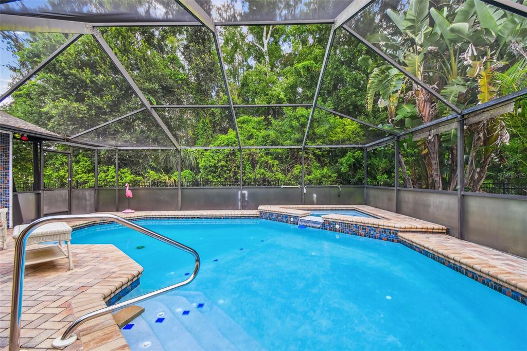 6006 Redhawk Drive New Port Richey, FL 34655 - Photo 78 of 90