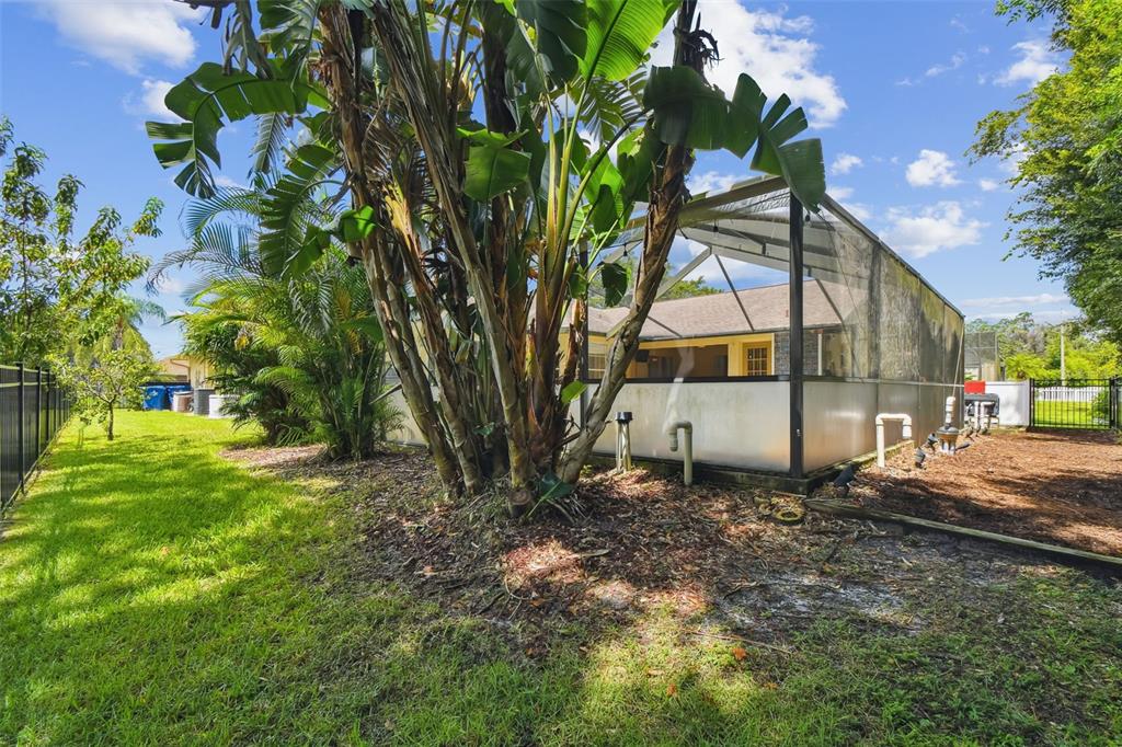 6006 Redhawk Drive New Port Richey, FL 34655 - Photo 84 of 90