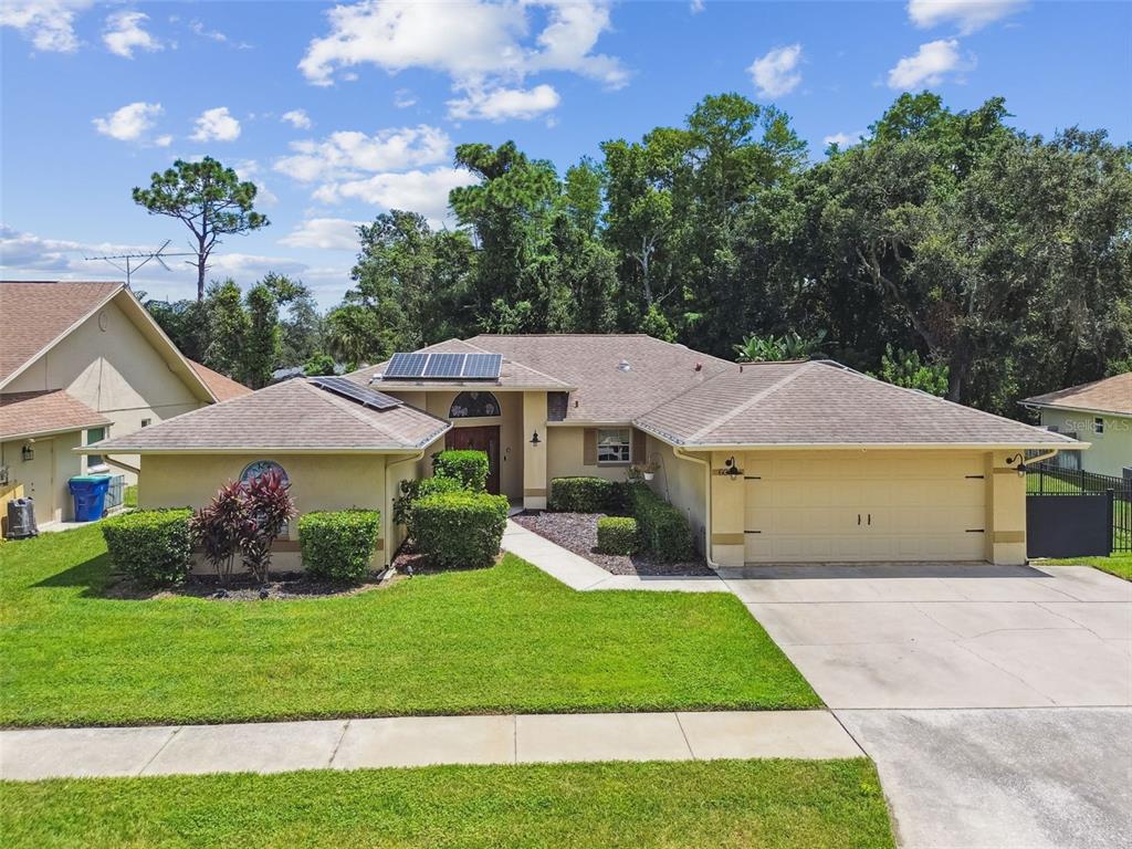6006 Redhawk Drive New Port Richey, FL 34655 - Photo 90 of 90 a front view of a house with a garden and trees