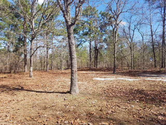 2462 Patiller Road Hephzibah, GA 30815 - Photo 15 of 39 yard