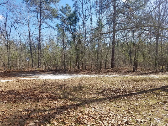 2462 Patiller Road Hephzibah, GA 30815 - Photo 16 of 39 yard