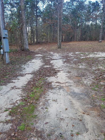 2462 Patiller Road Hephzibah, GA 30815 - Photo 35 of 39 drive way