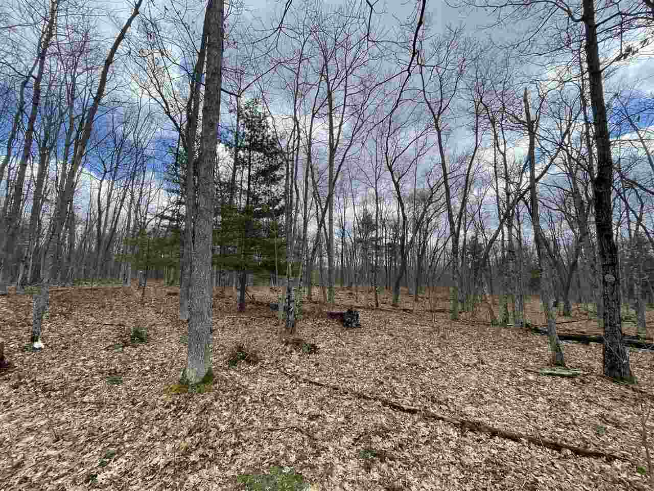 20 East A E Decker Rd Branch Branch, MI 49402 - Photo 12 of 31