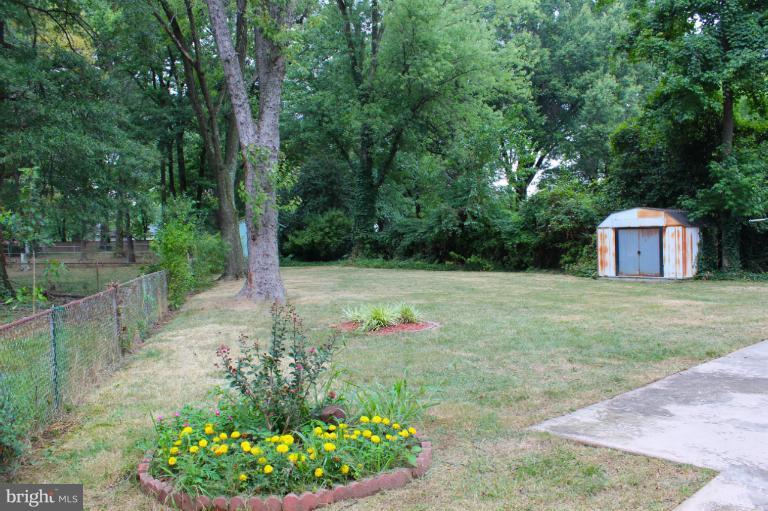 6722 Queens Road Alexandria, VA 22306 - Photo 26 of 28 Exterior (Rear)