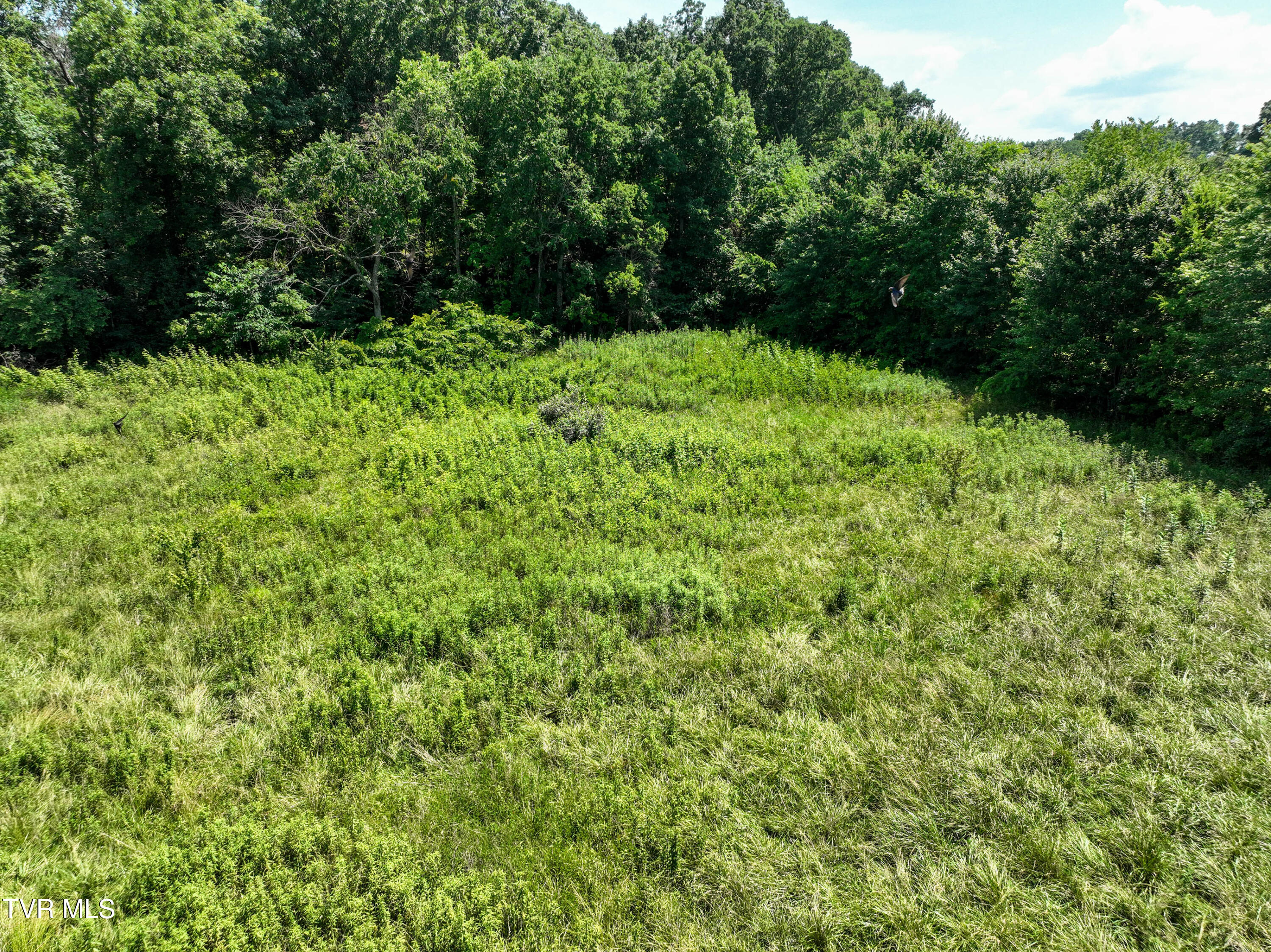 60 Lazy Brook Road Chuckey, TN 37641 - Photo 49 of 53 60 Lazy Brook Rd Drone COLLIN-23