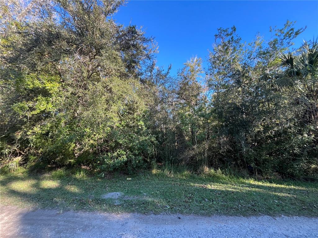9667 South Lotus Point Homosassa, FL 34448 - Photo 1 of 5 a view of a field with trees