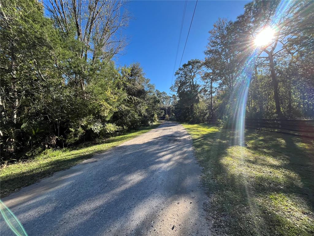 9667 South Lotus Point Homosassa, FL 34448 - Photo 3 of 5 a view of a yard with large trees