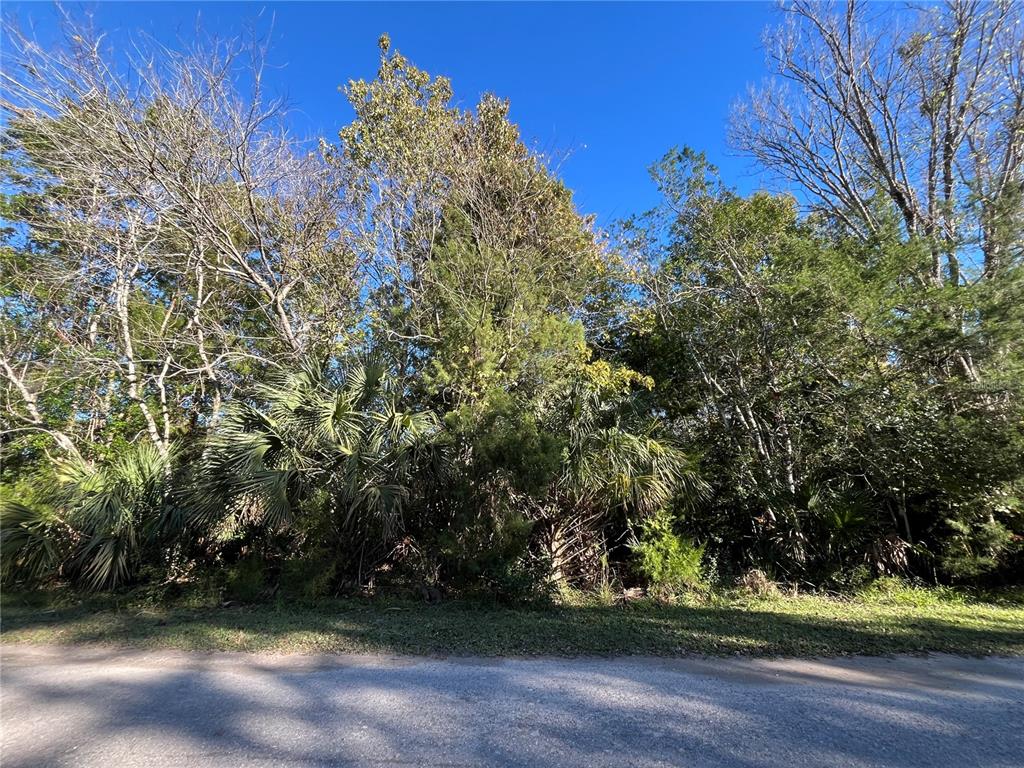 9667 South Lotus Point Homosassa, FL 34448 - Photo 4 of 5 a view of outdoor space and yard
