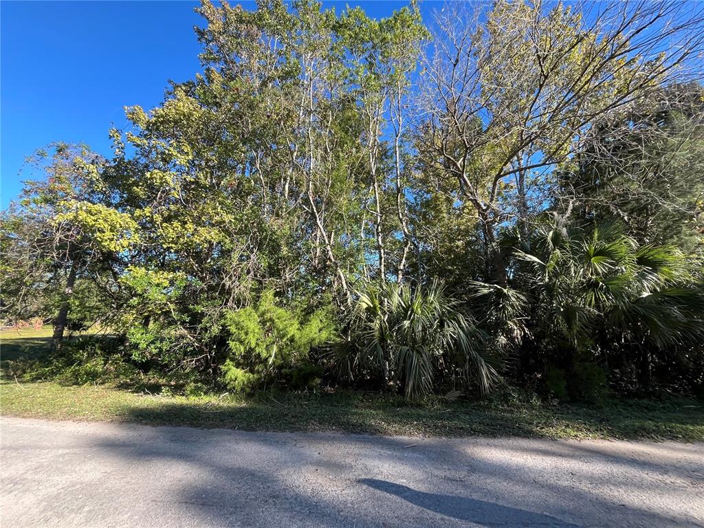 9667 South Lotus Point Homosassa, FL 34448 - Photo 5 of 5 a view of a yard