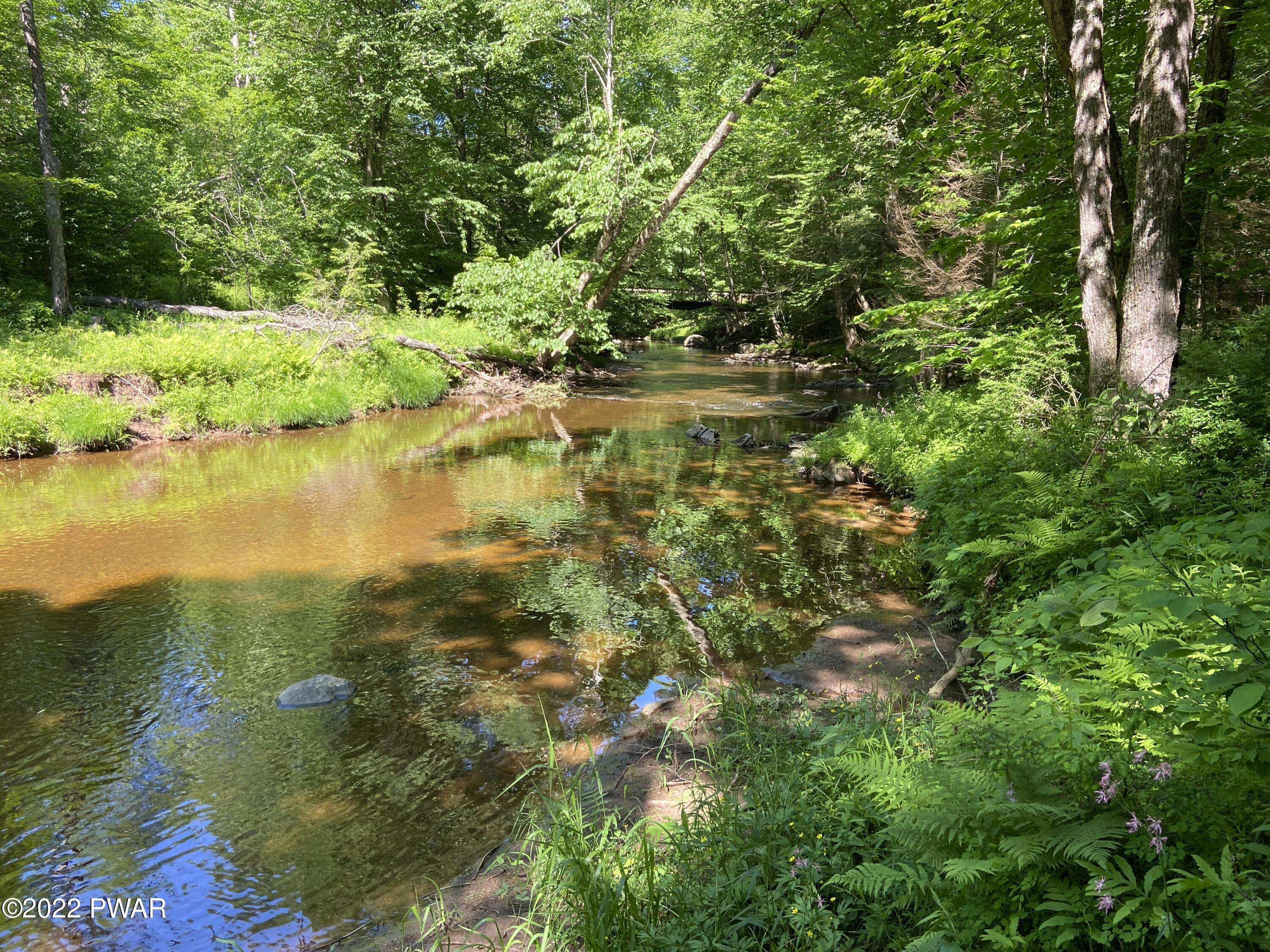 John David Road Beach Lake, PA 18405 - Photo 12 of 17