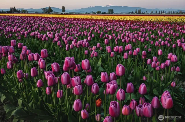 $665,000 | 16005 Laconner Whitney Road, La Conner, WA 98257