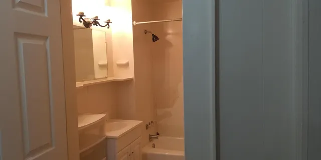 a bathroom with a shower and a sink