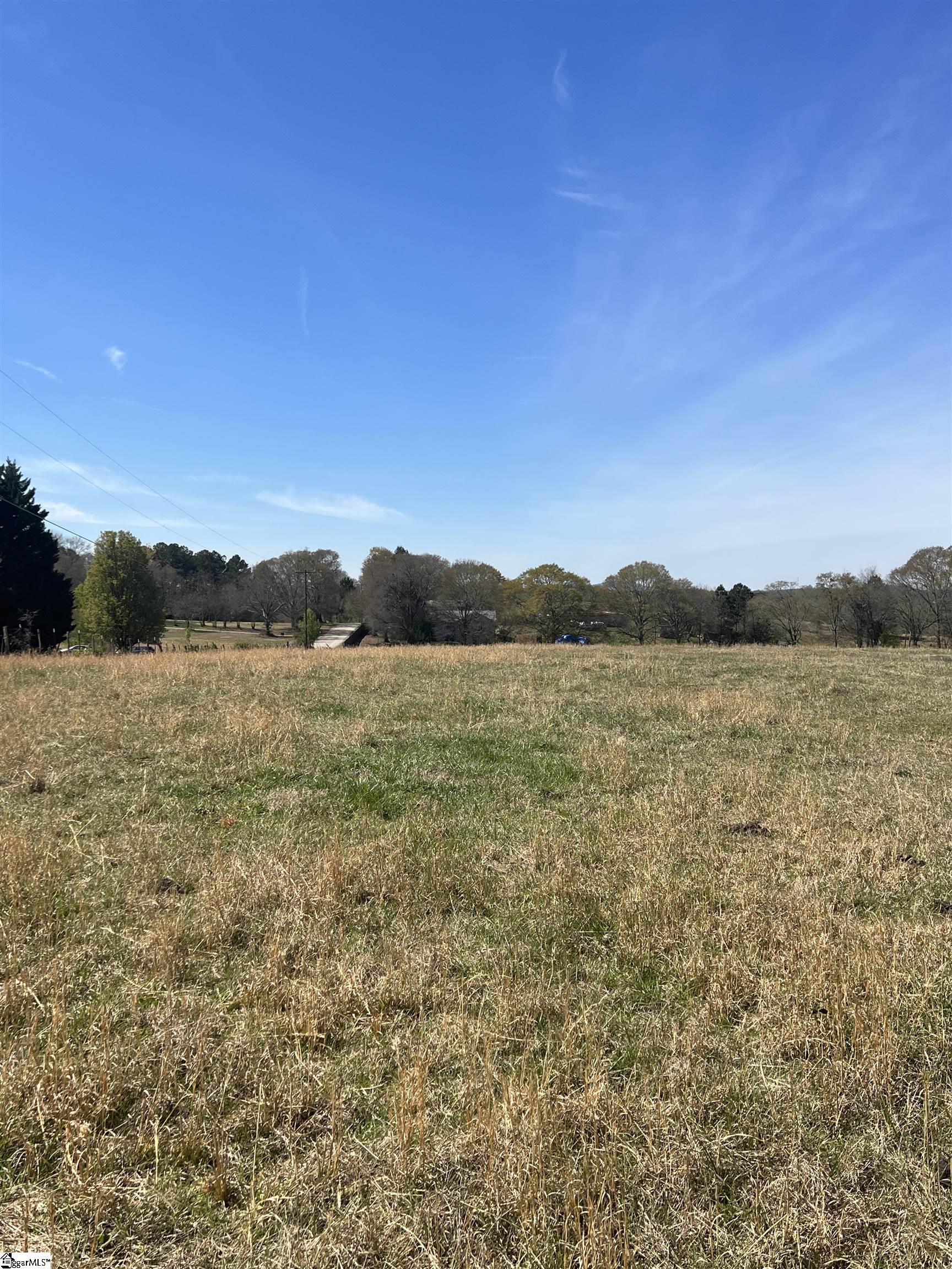 0 Clement Loop Road Lyman, SC 29365 - Photo 11 of 17