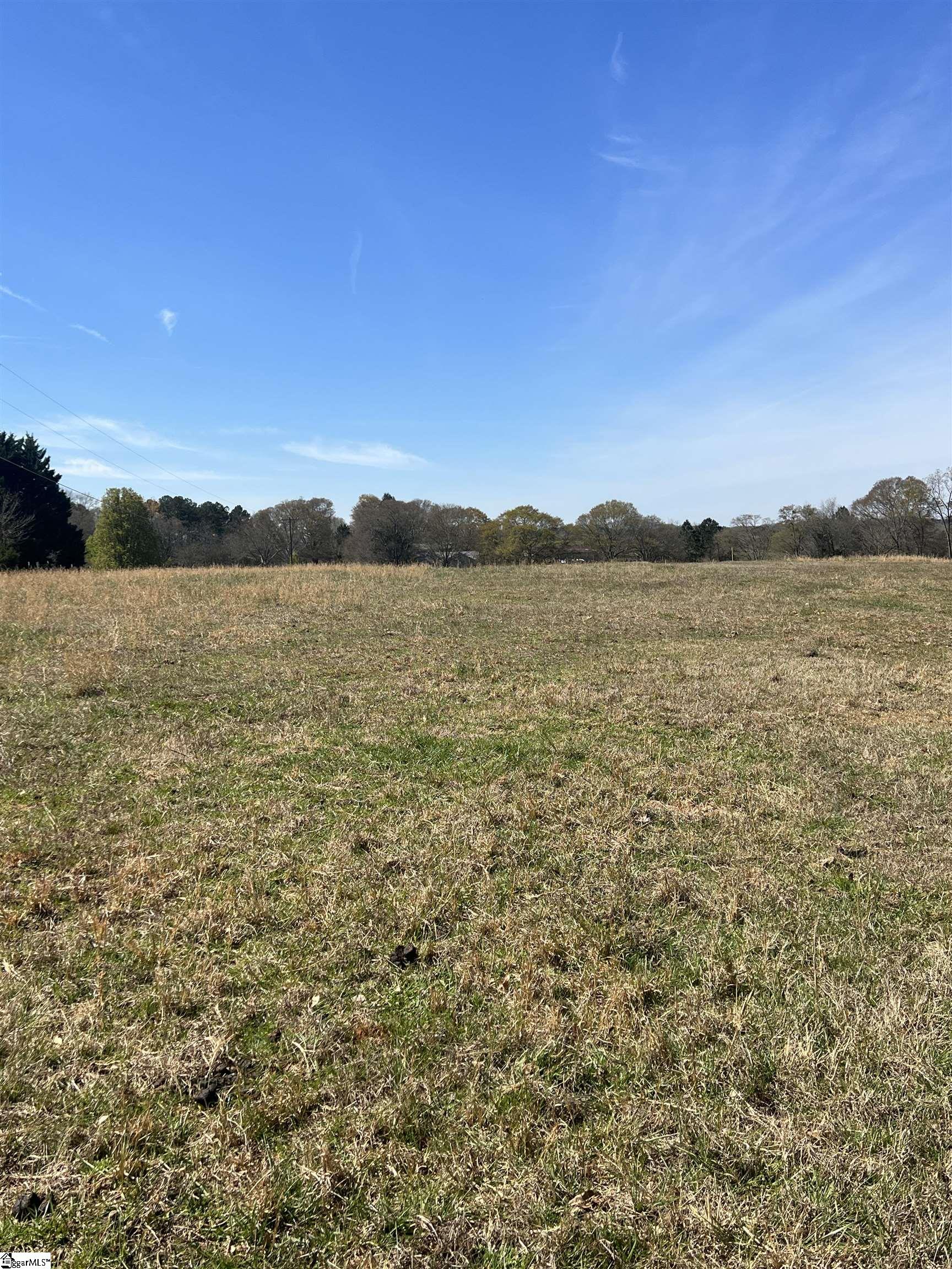 0 Clement Loop Road Lyman, SC 29365 - Photo 8 of 17