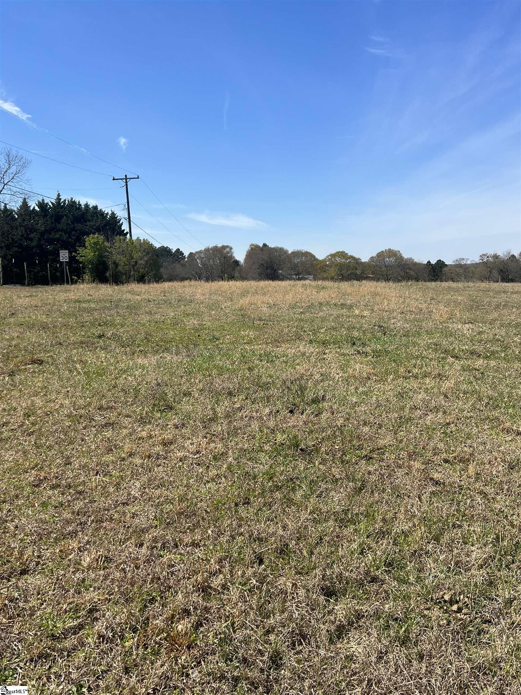0 Clement Loop Road Lyman, SC 29365 - Photo 9 of 17