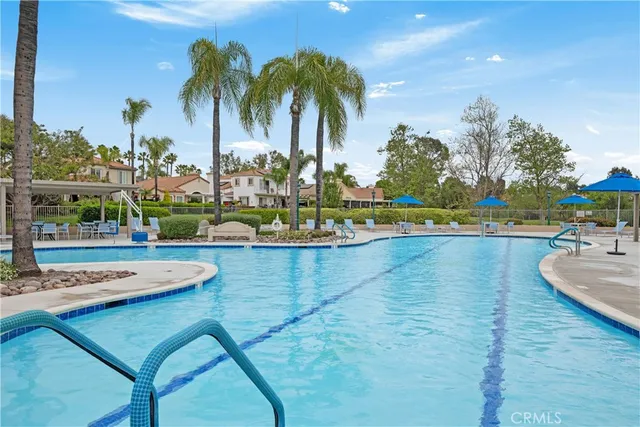a view of a swimming pool with a lawn chairs under palm trees