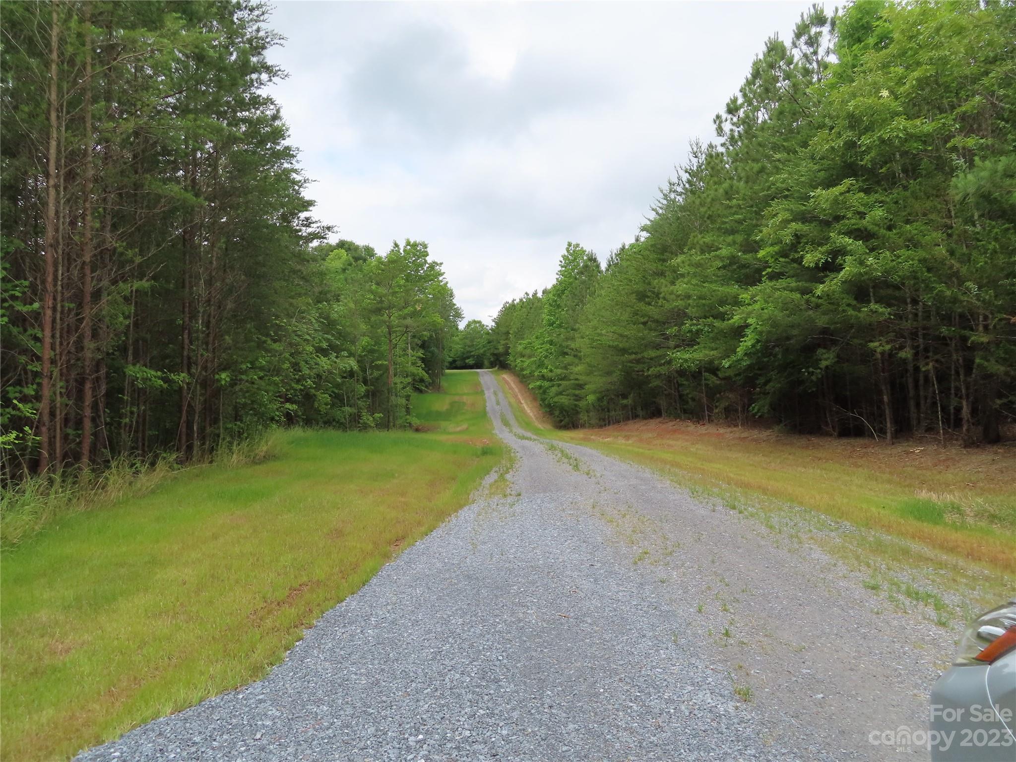 4 Garvin Road York, SC 29745 - Photo 3 of 4 a view of a yard with a tree
