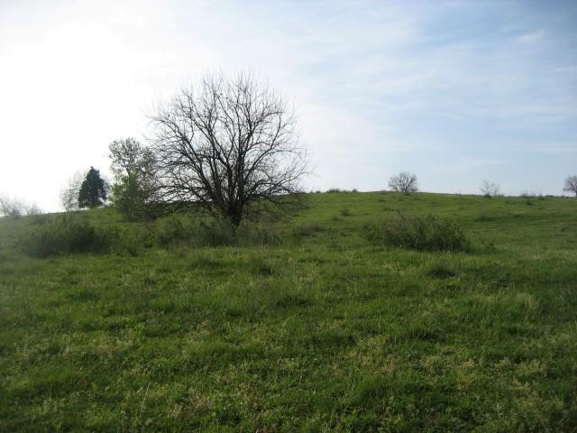 1 Myers Road Carlisle, KY 40311 - Photo 27 of 32 Photo 27