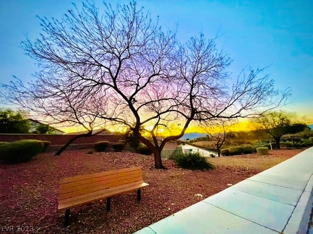 2599 Anani Road Henderson, NV 89044 - Photo 32 of 34