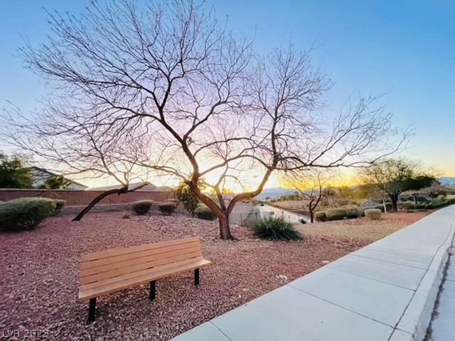 2599 Anani Road Henderson, NV 89044 - Photo 33 of 34