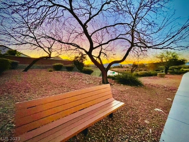 2599 Anani Road Henderson, NV 89044 - Photo 34 of 34