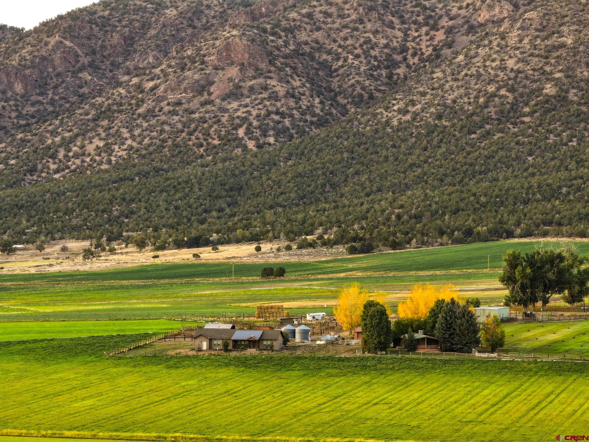 10203 Bostwick Park Road Montrose, CO 81401 - Photo 4 of 40