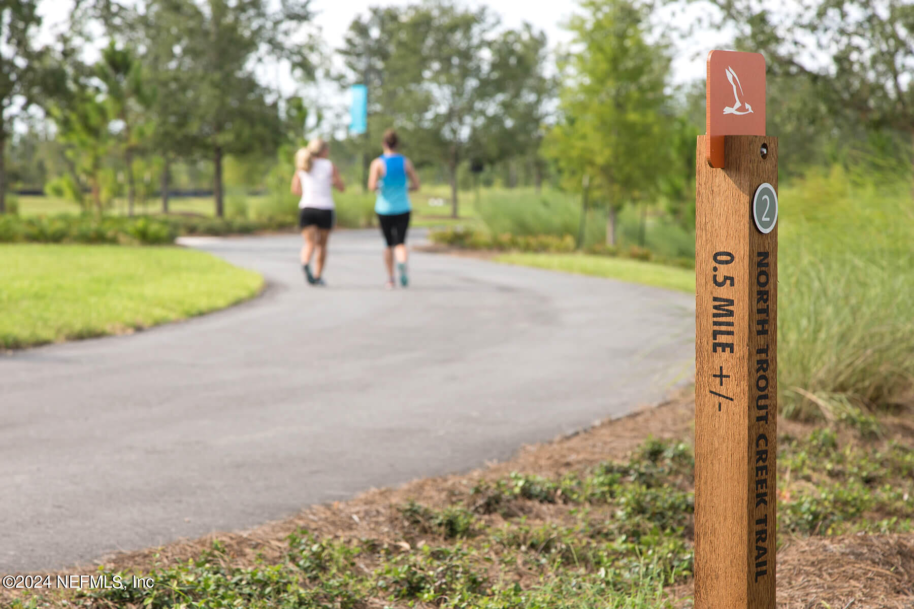 362 Belfort Court St. Augustine, FL 32092 - Photo 21 of 29 a view of a park with a tree
