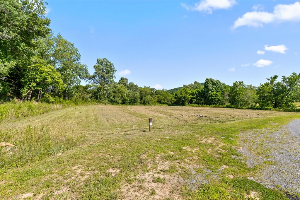 Lot 1 Ridge Drive Morganton, GA 30560 - Photo 11 of 21