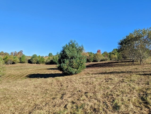 Tbd Tbd Smith Farm Road, Unit 7C Check, VA 24072 - Photo 3 of 15 Gallery Image 3