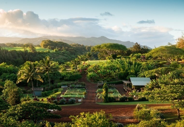 4 Koloa Road Koloa, HI 96756 - Photo 16 of 16 Gallery Image 16