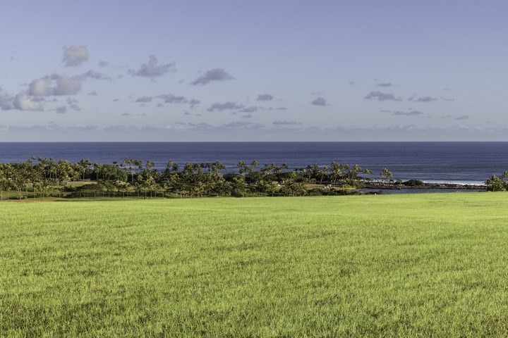 4 Koloa Road Koloa, HI 96756 - Photo 3 of 16 Gallery Image 3