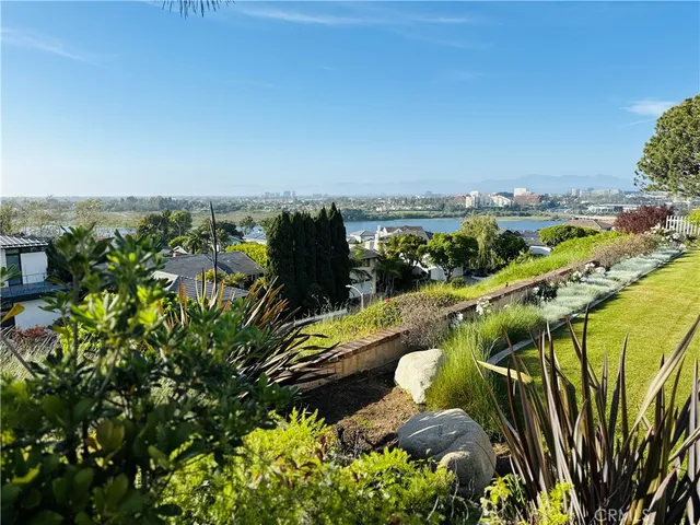 a view of a swimming pool with a lot of trees