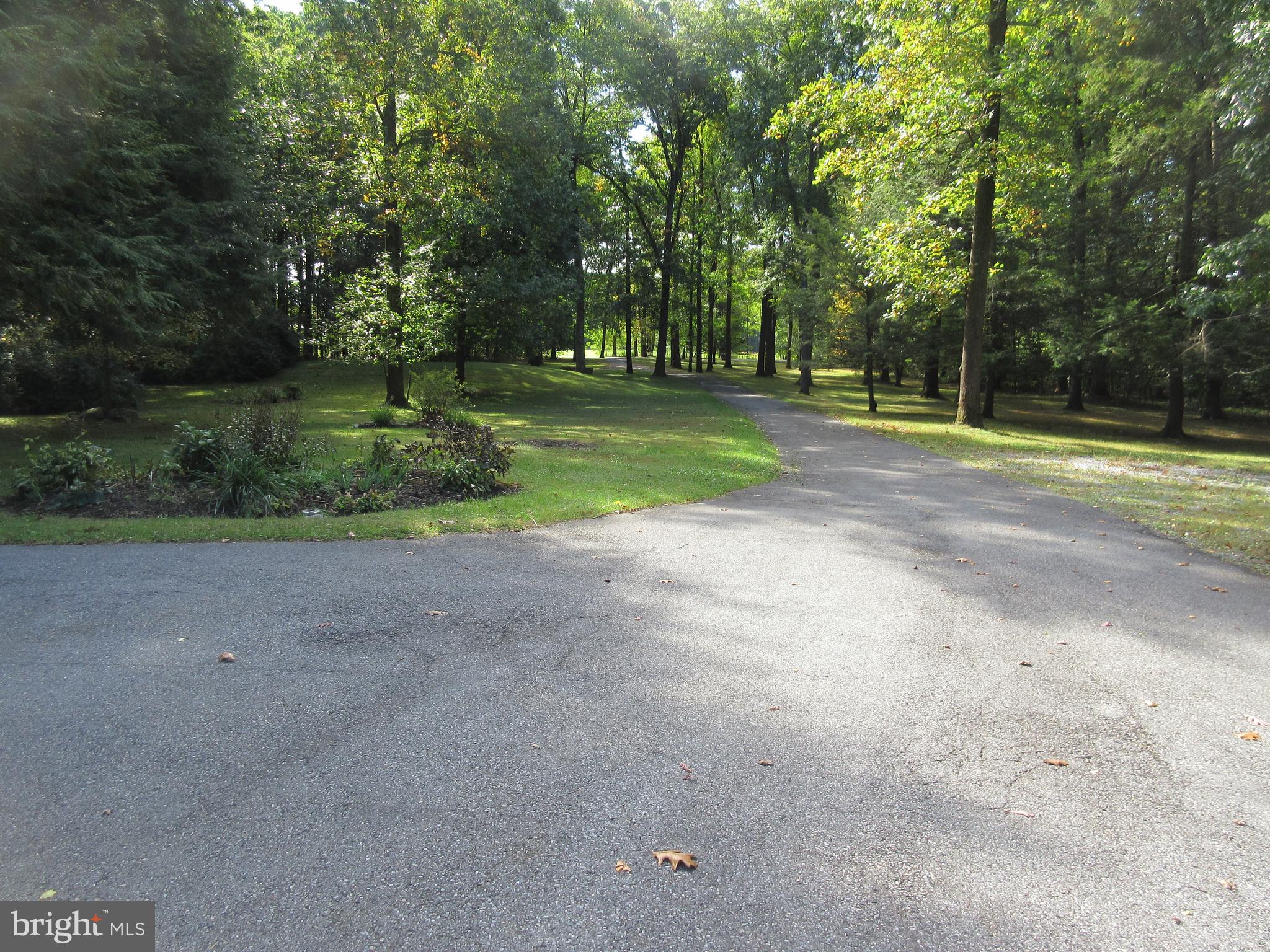115 Club Road Bethel, PA 19507 - Photo 10 of 34 Front Yard