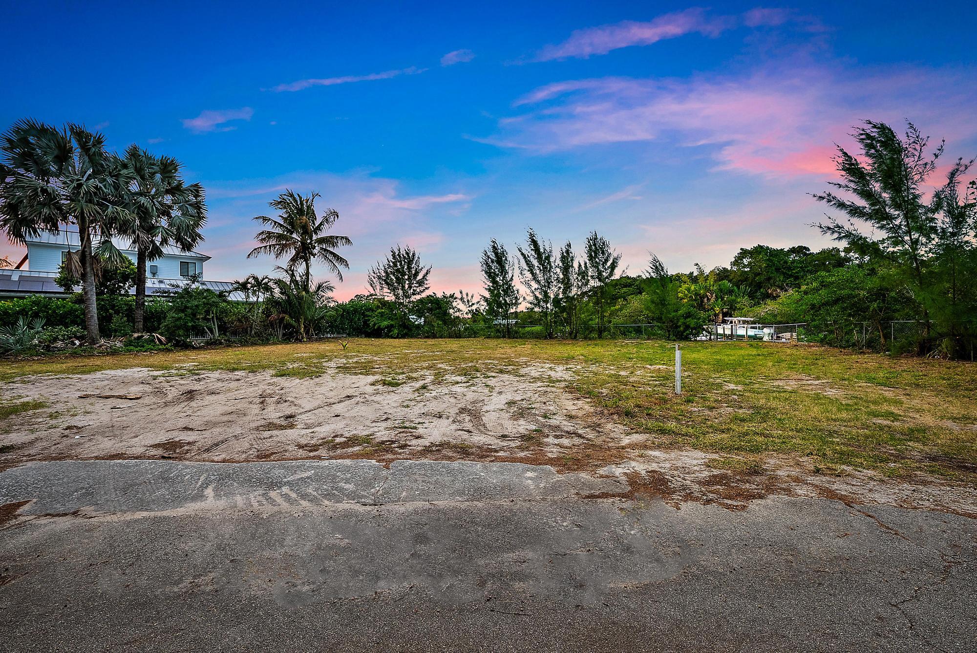 1310 Peninsular Road Jupiter, FL 33469 - Photo 14 of 17 a view of a yard with palm trees