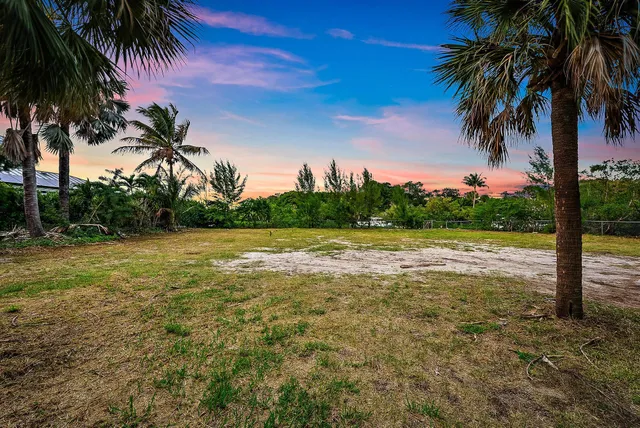 a view of three trees and a yard