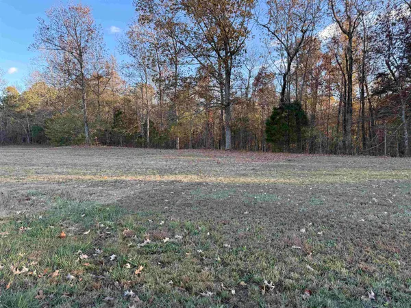 a view of a field with trees in the background