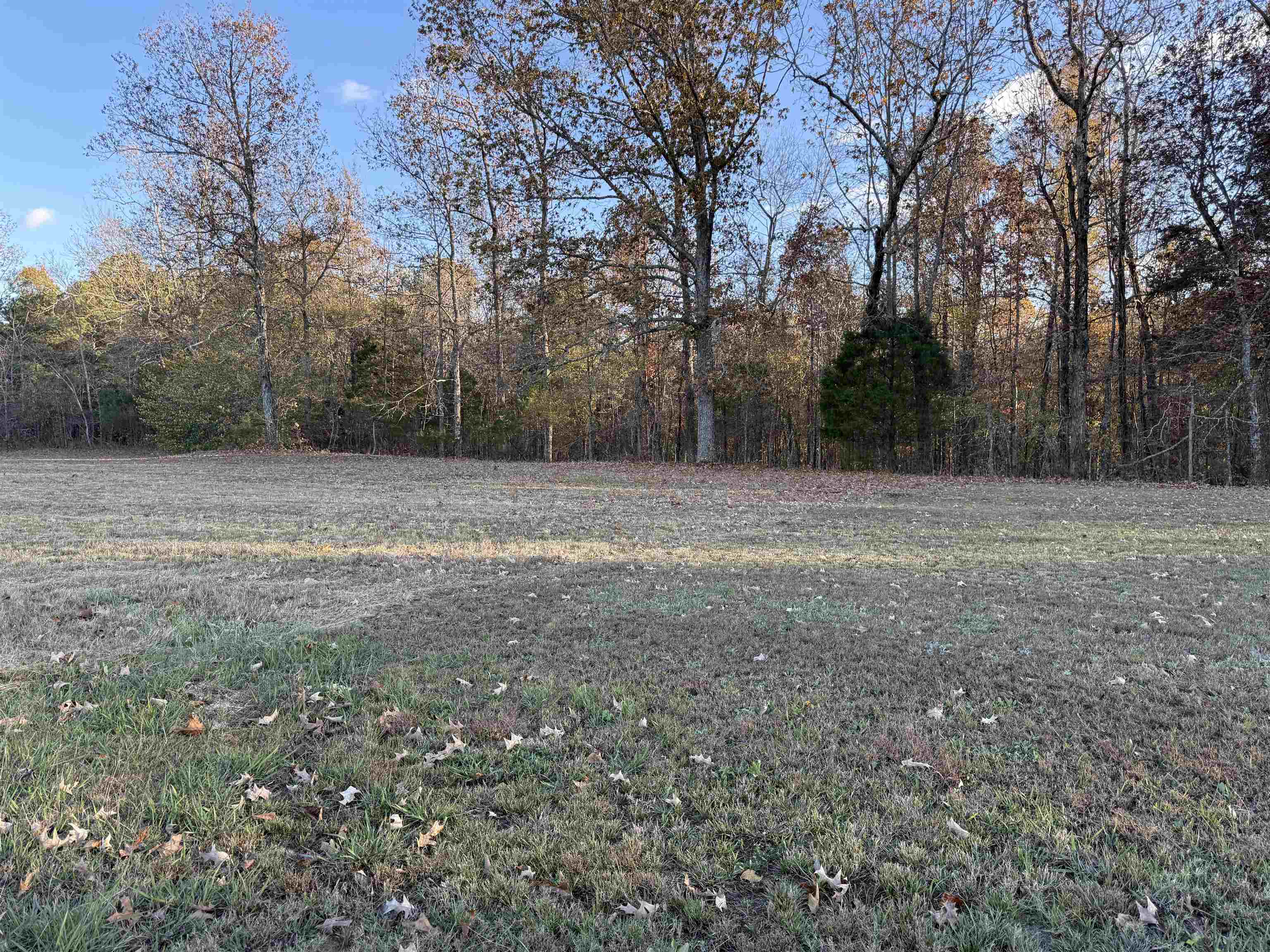 a view of a field with trees in the background