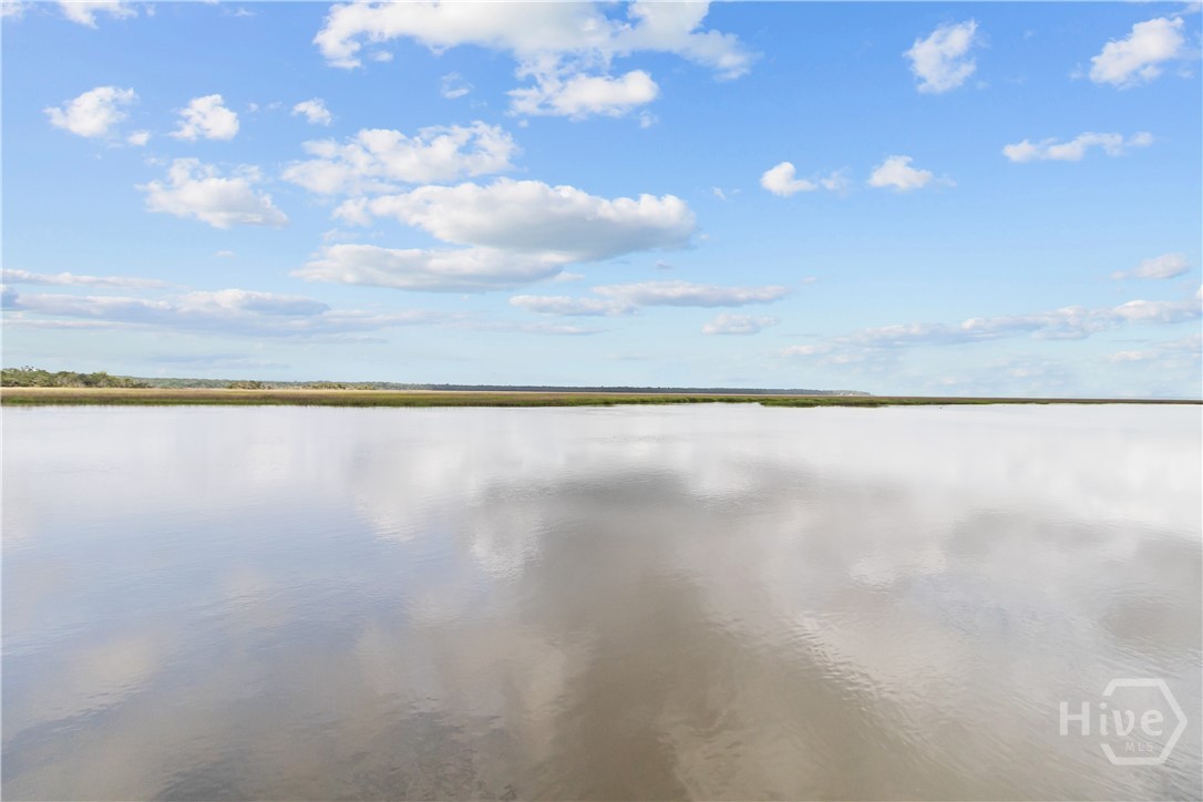 252 River Drive Midway, GA 31320 - Photo 36 of 38