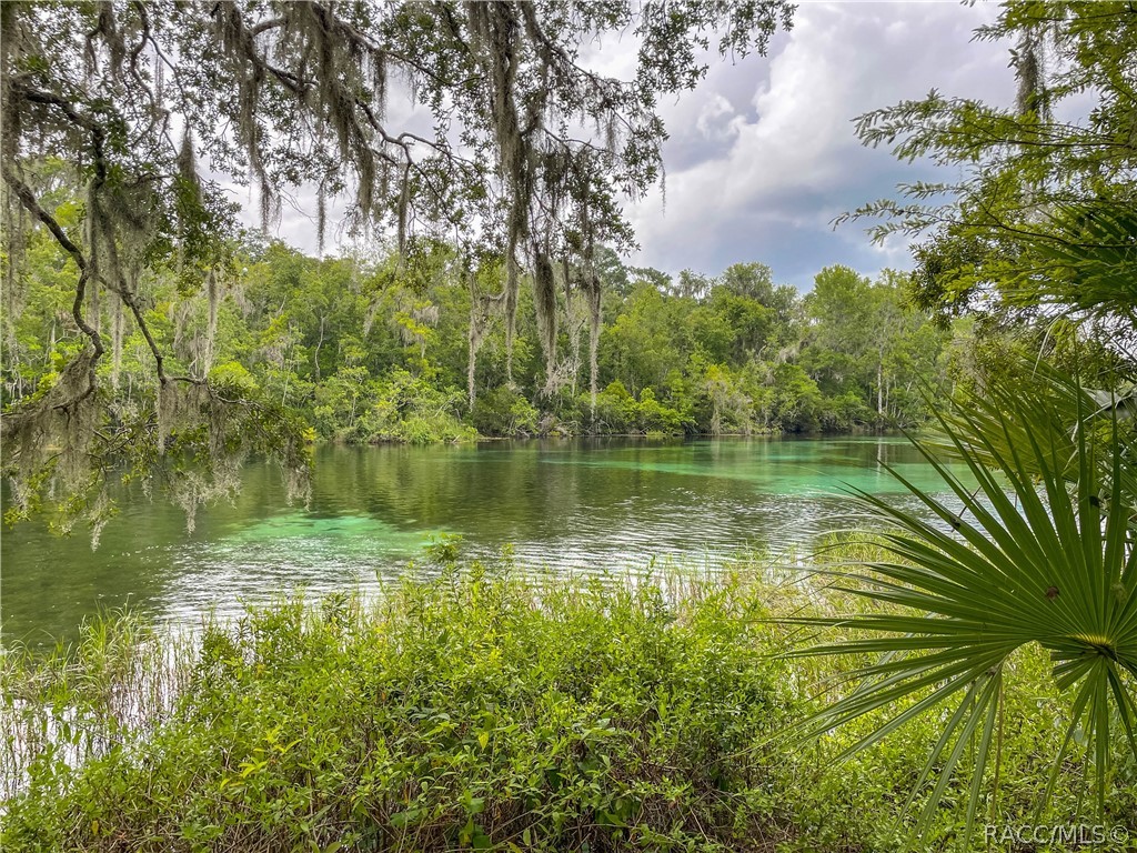 18976 Southwest 93rd Loop Dunnellon, FL 34432 - Photo 75 of 82