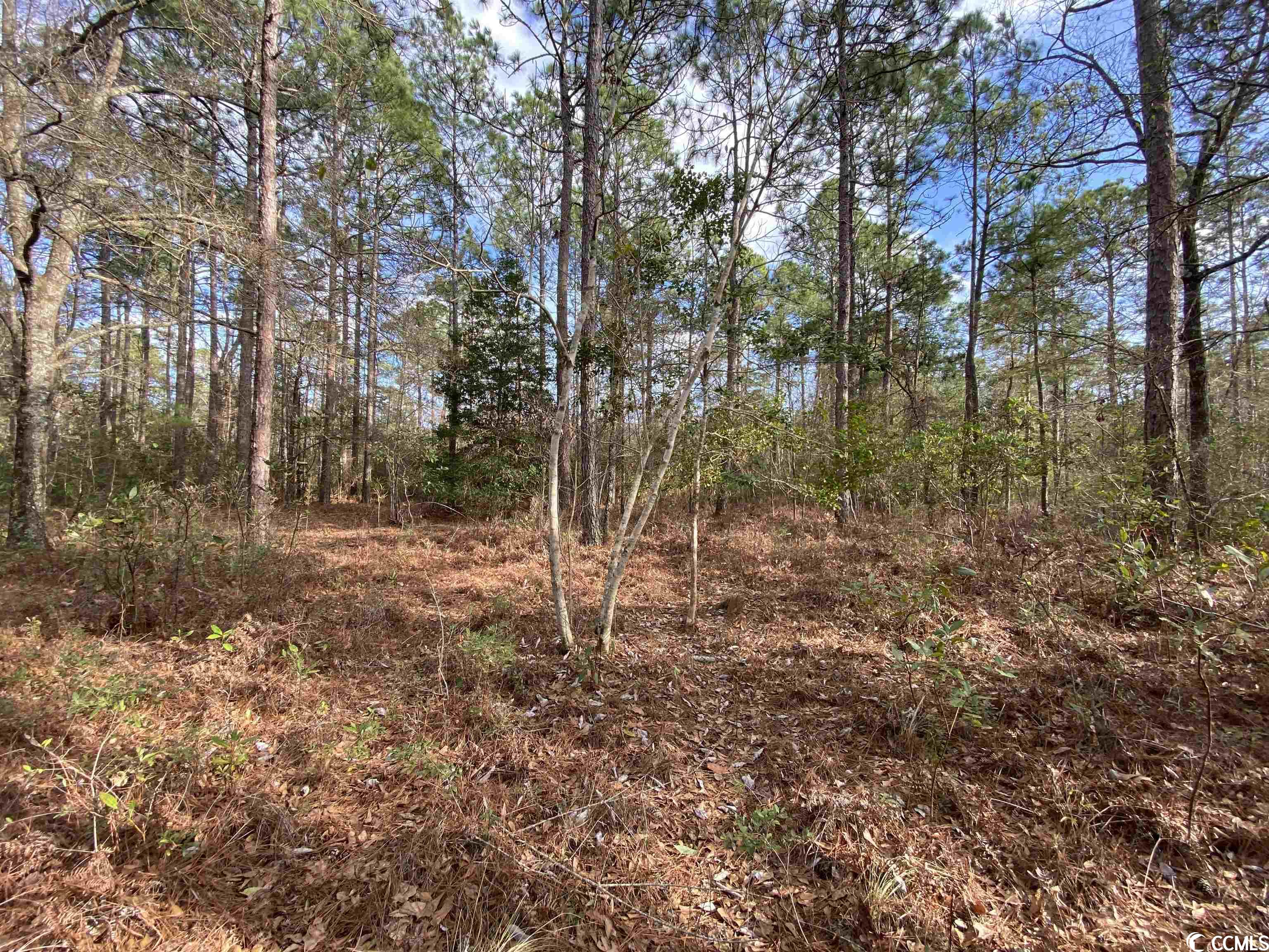Lot A Inheritance Road Conway, SC 29527 - Photo 2 of 5