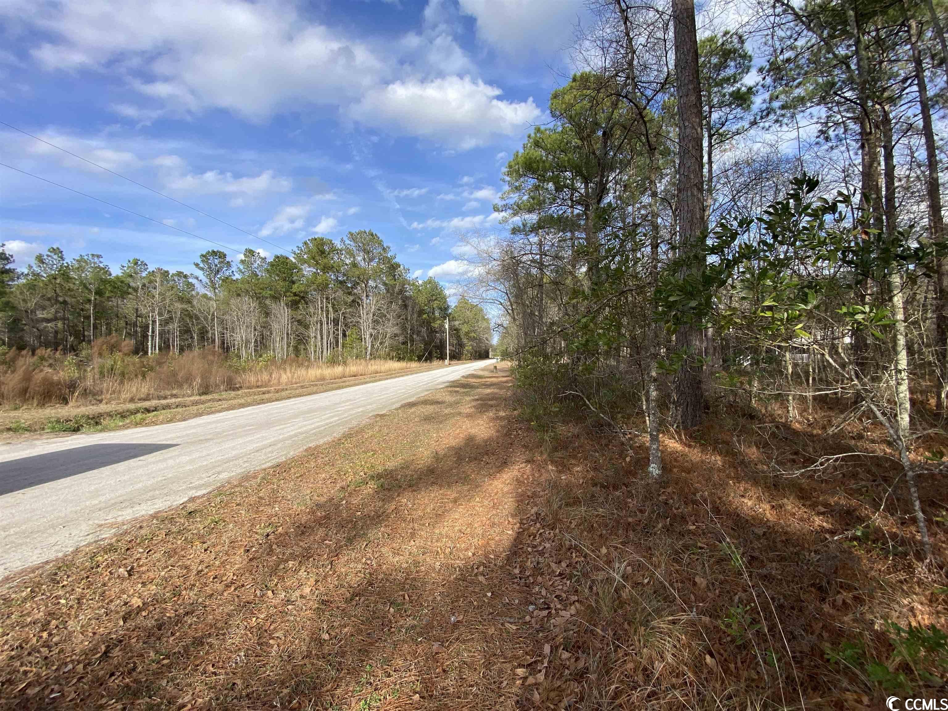 Lot A Inheritance Road Conway, SC 29527 - Photo 3 of 5